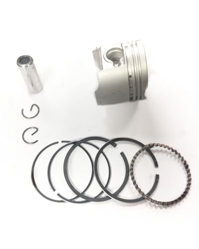 sXgOLbg XYL `Cm50ALT-Z50 NAbhX|[cA36mmAsXgLbg