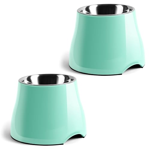 Fluffydream Elevated Dog Bowls, Non-Slip Stainless Steel Bowls (MintGreen 2 Packs)