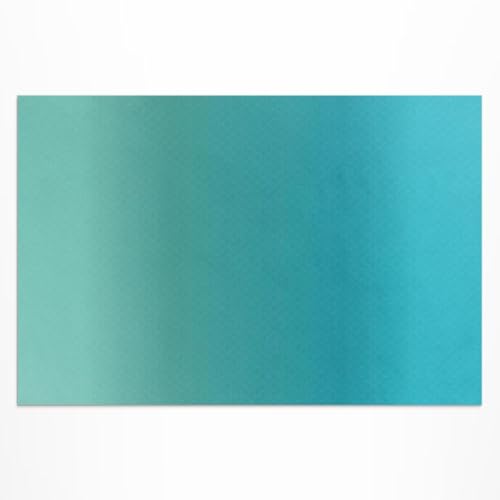 Tapis de sol vinyle anti-UV 80x120 cm pour protéger un sol de terrasse - 2