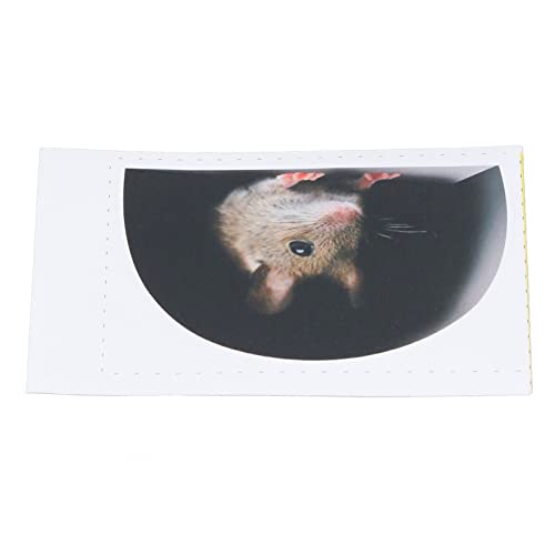 Mxzzand Decalques de parede com furo de rato, decoração de parede com furo de rato bonito 3D realist