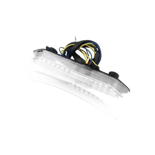 Feux arrière de moto à LED à haute luminosité pour YZF R1 2002-2003