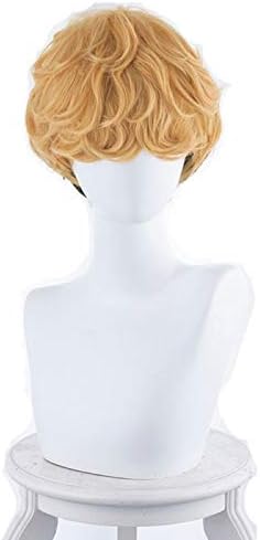 Amazon 今日から俺は 私立軟葉高校 軟高 三橋貴志 コスプレウィッグ ネット付き Wig コスプレ 仮装 通販