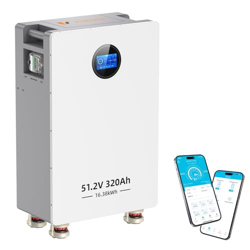 FEENCE 48V 320Ah LiFePO4 Batterie 16.384kWh Stromspeicher und Leistungsschaltern 200A BMS RS485/CAN/RS232 mit Bluetooth WLAN für Notstromversorgung zu Hause Netzunabhängige Solaranlagen