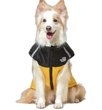 ybg ^ R[gWPbg ᕞ  hbOEGA h [h ERF h p[J[ {A XXL