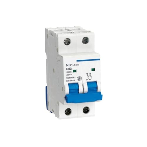 Mini-disjoncteur NB1-63H 2P 10KA 20A pour la protection modulaire de tableau électrique