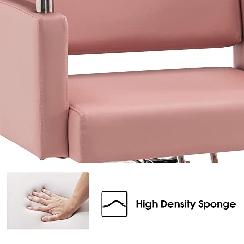 Barberpub Classic Hydraulic Barber Chair Styling Salon Chair For Hair Stylist Beauty Spa Equipment 8808 (Pink) #TOP3