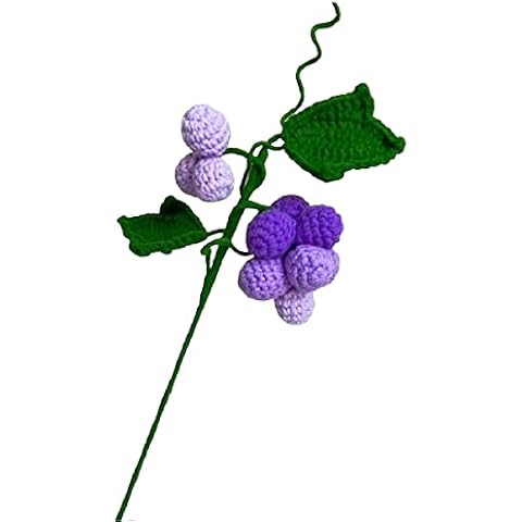 Ginfleurs Handmade Crochet Grapes Cover