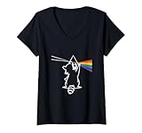 Raccoon Rainbow Prism Light Spectrum