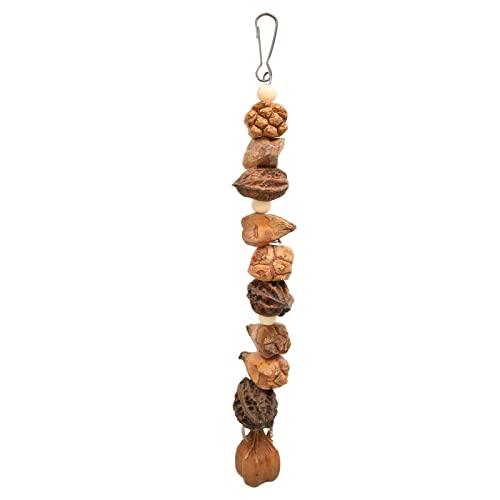 Mbeysaq Brinquedo de mastigar papagaio de madeira e nozes para pássaros, araras, periquitos, periqui