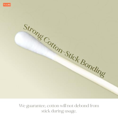 Image of TULIPS Cotton Ear Buds /Swabs (Pack of 3) with white PAPER Sticks 200 /400 Tips in a Flat Box
