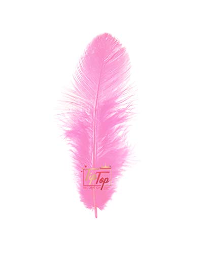 Image of Natural Dyed Feathers 10 cm (80 pieces) (Light Pink)