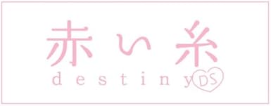Amazon 赤い糸 destiny ds ゲームソフト Amazon 赤い糸 destiny ds ゲームソフト