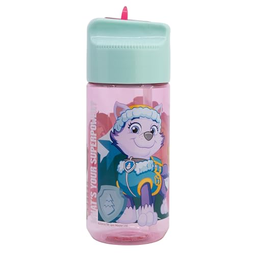 Stor Wiederverwendbare Wasserflasche, hergestellt in ECOZEN DE 430 ml | PAW PATROL GIRL SUPERPOWERS