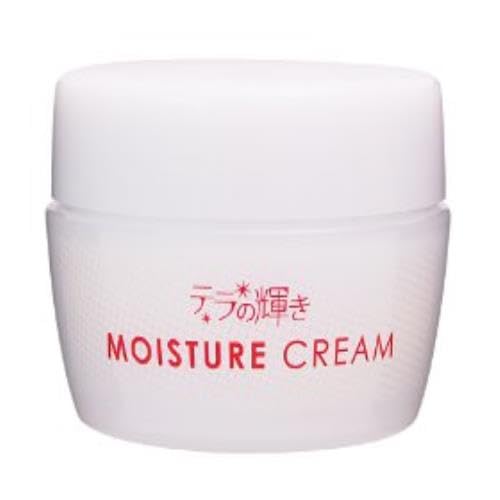 テラの輝き モイスチャークリーム 400g 詰替　２個セット テラの輝きモイスチャークリーム 詰替パウチ400g｜トータル
