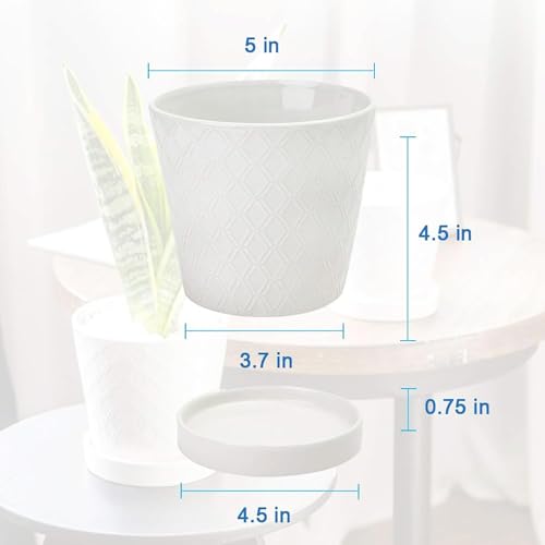 Image of BUYMAX Succulent Planter -5 inchinch Ceramic Flower Pot with Drainage Holes and Ceramic Tray - Gardening Home Desktop Office Windowsill Decoration Gift Set 4 - Plants NOT Included