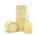 Paddywax Candles Petite Collection Reed Diffuser, 1.5-Ounce, Yellow - Meyer Lemon