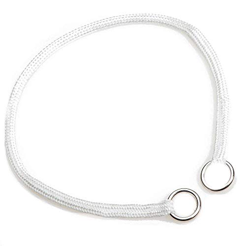 Collar para perro Mendota Pet nylon blanco 1/4 pulg x 16 pulg