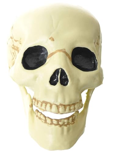 Tête de mort en plastique amscan pour customiser un déguisement effrayant