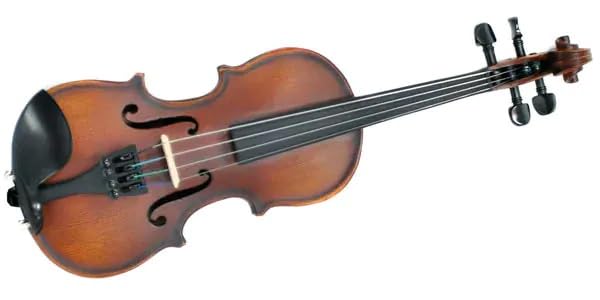 Amazon | PLAYTECH (プレイテック) 子ども用分数バイオリン