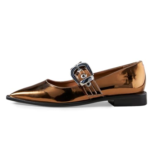 YDN Women's Buckled Strap Mary Jane Flats Fashion Pointed Toe Chunky Block Low Heels Formal Dress Business Party Shoes Size 4-16 US