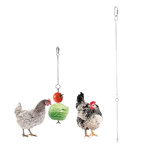 FOMIYES 1pezzi Da Appendere Inossidabile Per Uccelli Per Pappagalli e Uccelli Per Resistente Attività e