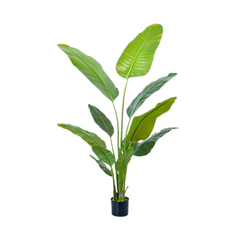 XVVXlHϗtAAlHO[AG}ACeAA͂ȂAlH؁AlHAA^[O[AؔAϏܗptFCNA (180cm V~[Vgx[oii Ât yv|bgtz)