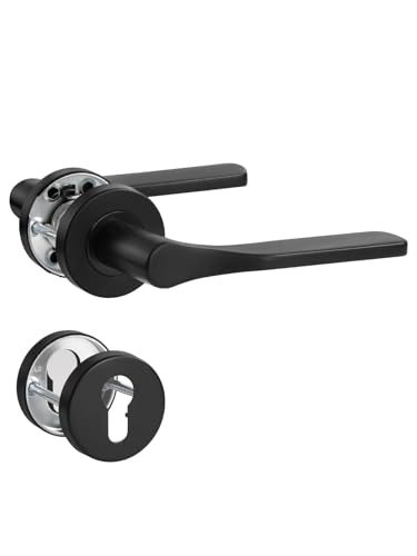 SORWDUERM Poignée de porte noire en acier inoxydable mat - Poignée de porte pour porte d'entrée...