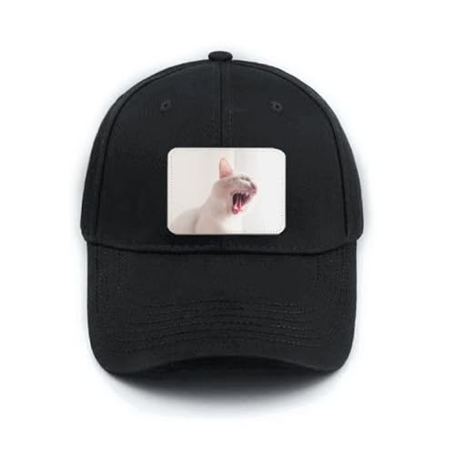 Casquette de baseball noire brodée chat féroce pour vos sorties urbaines et skatepark