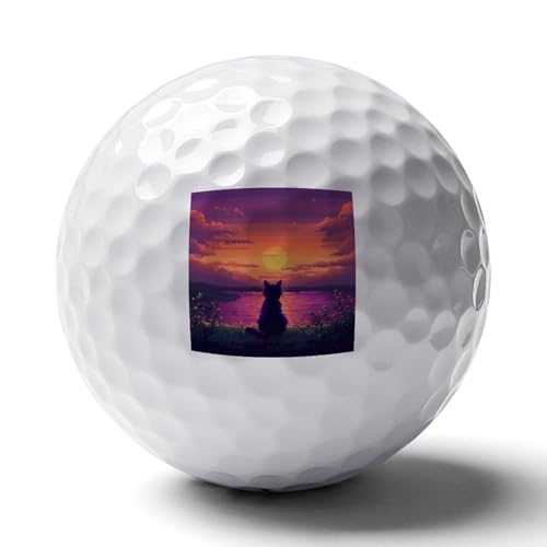 Digital Cat Enjoy The Sunset Logo Golf Balls Personalized Ball Custom for Men Women Boyfriend Husband