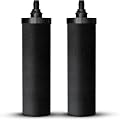 PHOENIX GRAVITY - NSF Certified Smart Carbon (Black) Replacement Filter Elements - Pack of 2 Carbon Cartridge for Phoenix Gravity Water Filters, Compatible with Berkey & Other Countertop Water Filters