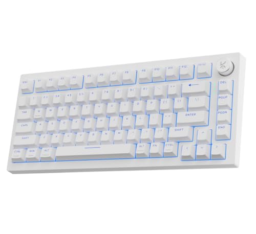 Image of Kreo Swarm X Wireless Mechanical Gaming Keyboard - Huano Red Switches, Pass Through Keycaps with RGB, Tri-Mode Connectivity (2.4Ghz /Bluetooth /Wired), 5-Pin Hot-Swap, for Windows & MacOS (White)
