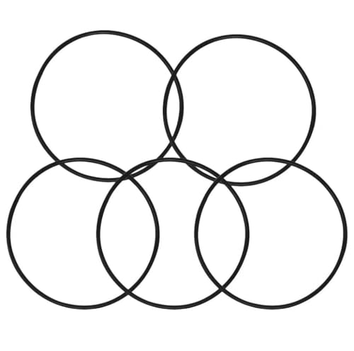 5pcs 151122 O-Ring Quality Close-Up