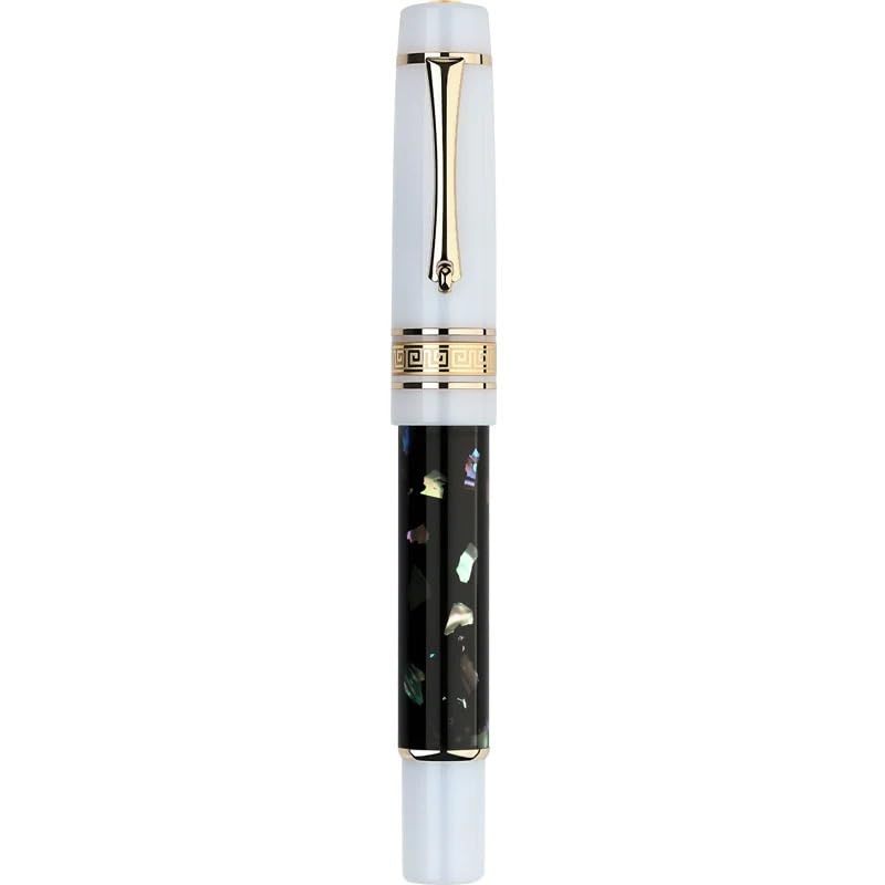 Stylo plume en résine noire d'exception avec sa plume argent M de 0,7 mm