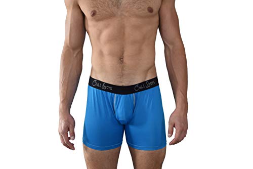 Mens Boxer Briefs - Soft Stretch Moisture Wicking Mens Underwear. Quick Drying Performance Boxers (XL, Blue)