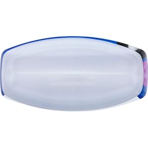 Woolite Pet Stain & Odor Remover + Oxygen Trigger, 22 Ounces, 0890 Woolite Pet Stain Odor Remover Oxygen Trigger 22 Ounces 0890