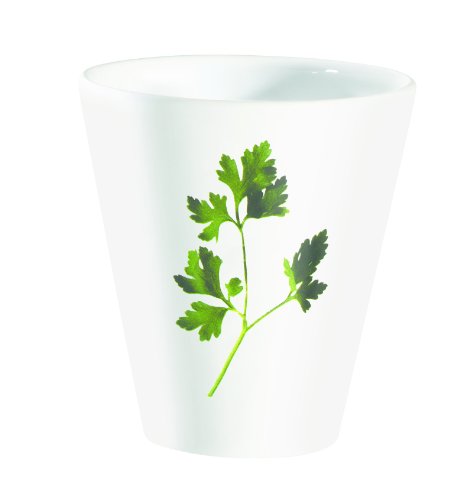 ASA TRATTORI KRÄUTER-Übertopf PETERSILIE H.14,5 cm; D. 13,5