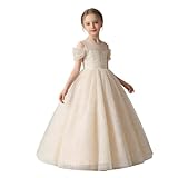Occasions : robes de bal pour enfants Convient pour les robes de bal, les tenues de Noël pour enfants, les robes de baptême, les robes de demoiselle d'honneur, les robes de mariée, les vêtements festifs pour filles, les robes de fête pour filles, les anniversaires, les concours de fête, les fêtes du Nouvel An, les banquets, les réunions de famille, les événements d'église, les concerts d'hiver et les séances photo saisonnières.
