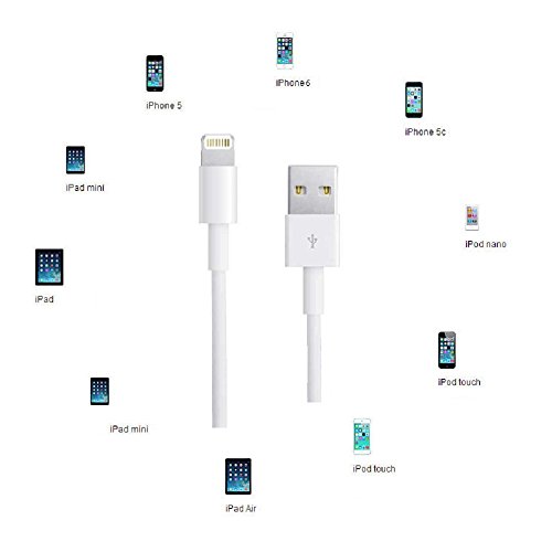 ELECTRÓNICA REY Cable de Carga y Datos USB 2.0 para iPhone, iPod o iPad, 1 Metro Color Blanco