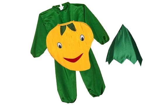 MODERNAZ Mango dress for kids with (cape cutout jumpsuit, school annual function, theme party/competition/stage shows dress (2-4 years) (B0C3B93781) Amazon Price History, Amazon Price Tracker