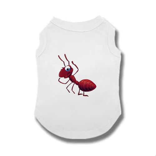 [QINTIW] ���� �t �ڐG�⊴ �h�� �� �� �H ���^ �ʋC ���킢�� ������� ���^�� ���^�� ��^�� S �����΍� �� �ĕ� ���̕� �h�b�O�E�F�A ������� ���킢�� ���� �t�@�b�V���� ������^�����L�� �ʋC ���₩ �z���C�g ���U��