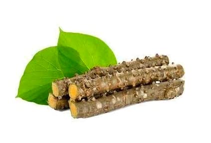 Rasayan Giloy Gulvel Stem Stems 7in Each -13 Fresh