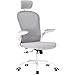 Farini Ergonomic Office Chair with Adjustable Headrest, Lumbar Support & Flip-Up Armrests – High Back Computer Chair for Home & Office Use, White