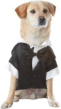 dog bathing suits petco