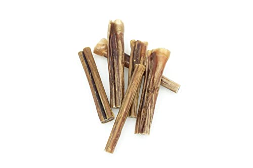 Bastoncino per Cane da 10 cm S - Nervo di Bue per