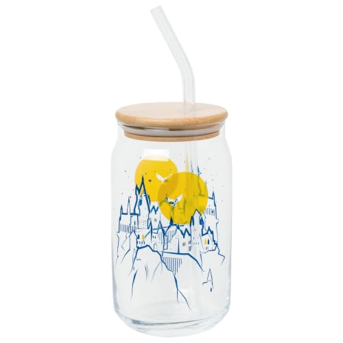 Silver Buffalo Harry Potter Hogwarts Castle Glass Tumbler, 16oz