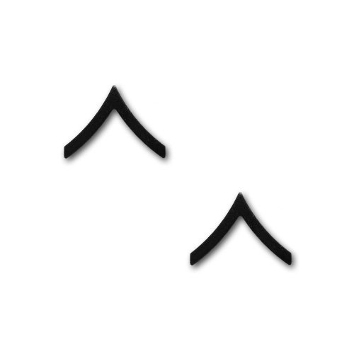 Vanguard Army Chevron: Private - Black Metal