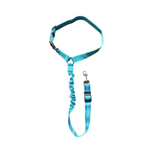 KIXZSAZ ペットに簡単な安全ベルト - 散歩や車の乗車に安全で便利 使いやすい首輪 ペット犬 強力な実用性, 空色, 1