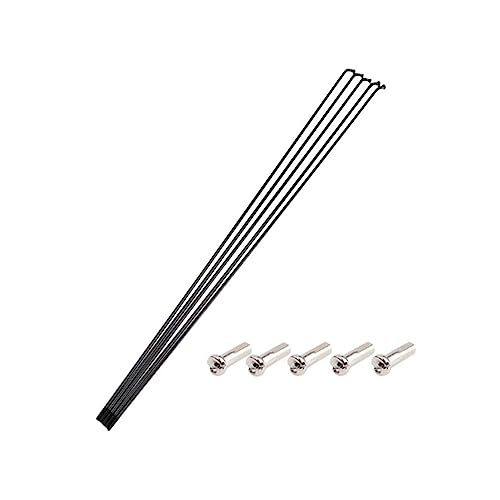 Rayons de rechange pour vélo 260 mm pour vos sorties sans imprévus