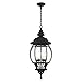 Livex Lighting 7705-14 Frontenac 4 Outdoor Hanging Light, 26.5" x 10.25", Black