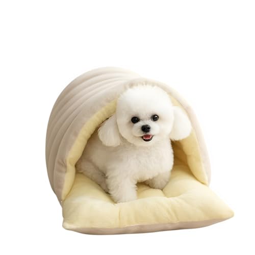 [POZEAL]yE􂦂zI[V[YLxbh ~pۉ݌v/xNbV/RpNg k_fUC `^Lp ybgpQ Lp\